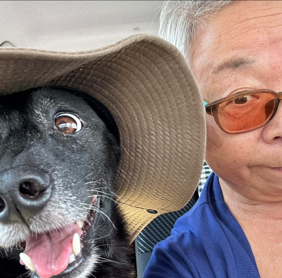 地域(観光の島)で生きる猫たちにご飯を！